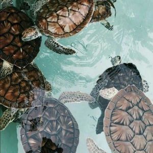 Meet your Posher, Ocean